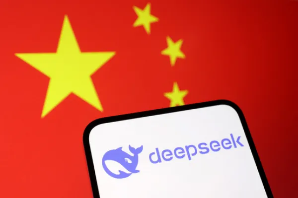 جزئیات شرایط استفاده DeepSeek