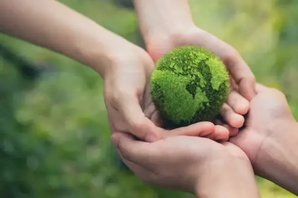 وب‌سایت درآمدزا با موضوع محیط زیست