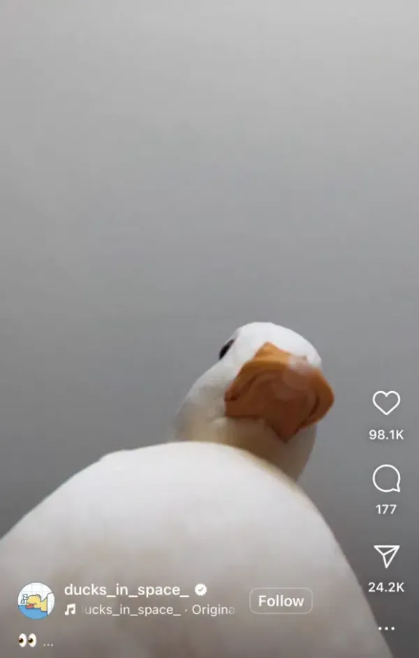 افزایش بازدید اینستاگرام به صورت تکرار شونده