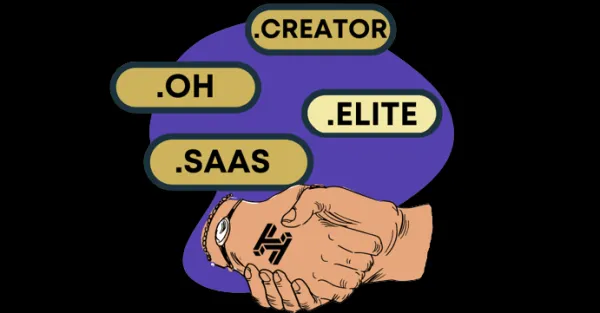 دامنه‌های HNS