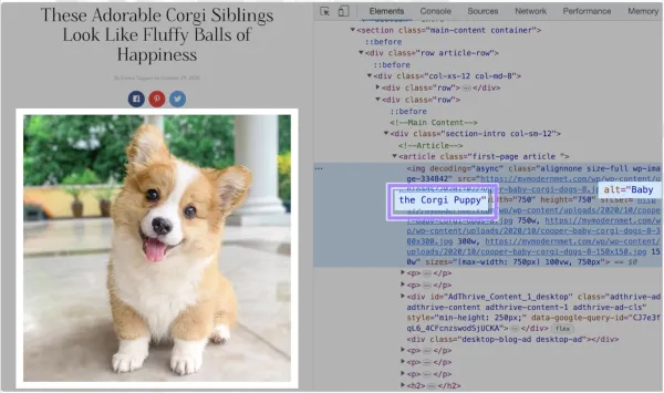 بهبود دسترسی پذیری وب سایت با متن جایگزین برای تصاویر