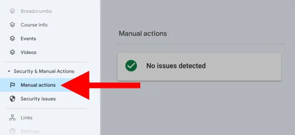 بررسی بک لینک های مخرب در بخش Manual Actions