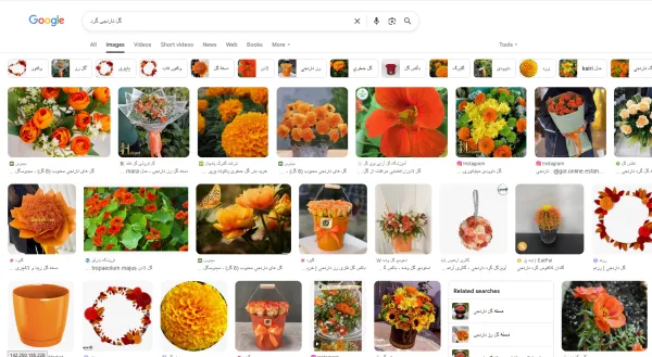 تفاوت جستجوی بصری با جستجوی تصویر