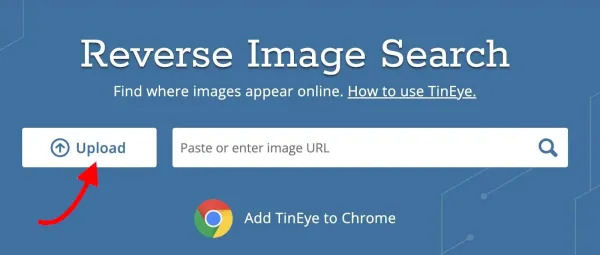 جستجوی معکوس ویدیو در TinEye